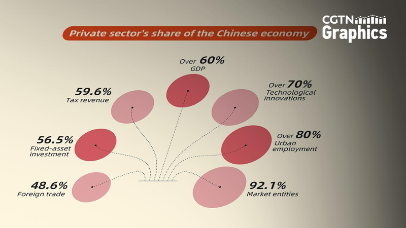 Graphics Private Sectors Share of the Chinese Economy 