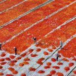 Institutional Reform Stands out in Chinas no 1 Central Document 