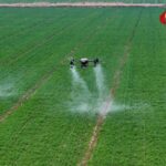 Key Document Highlights Chinas Efforts to Further Deepen Rural Reform 