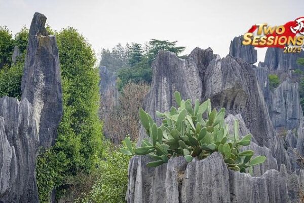 # - My News! Live Discover Shenjian Stone Forest South Chinas Guangxi