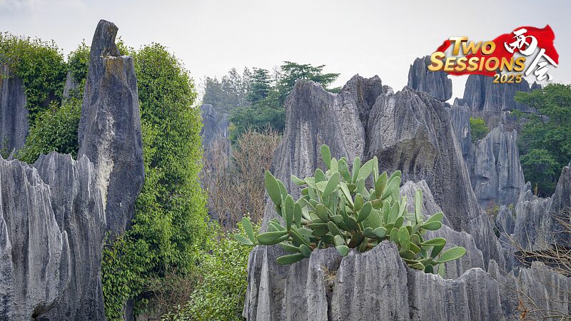 Live Discover Shenjian Stone Forest South Chinas Guangxi  Ep 2 Video Poster 