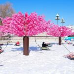 Live Enjoy the Ice and Snow Carnival at Beijings Taoranting Park 