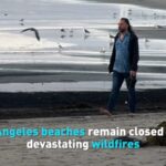 Los Angeles Beaches Remain Closed After Devastating Wildfires Video Poster 