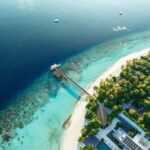 Maldives Aims to Plant 2 Million Trees in 2025 