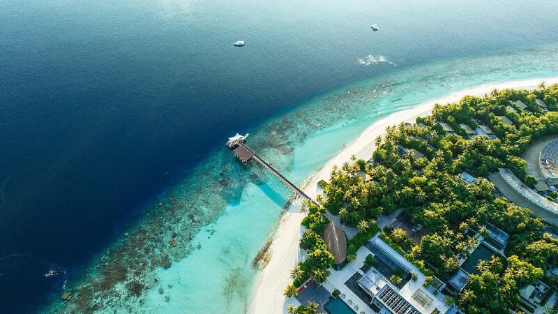 Maldives Aims to Plant 2 Million Trees in 2025 
