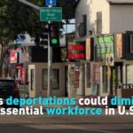 Mass Deportations Could Diminish Essential Workforce in Us Video Poster 