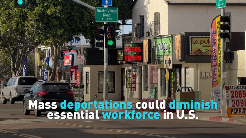 Mass Deportations Could Diminish Essential Workforce in Us Video Poster 