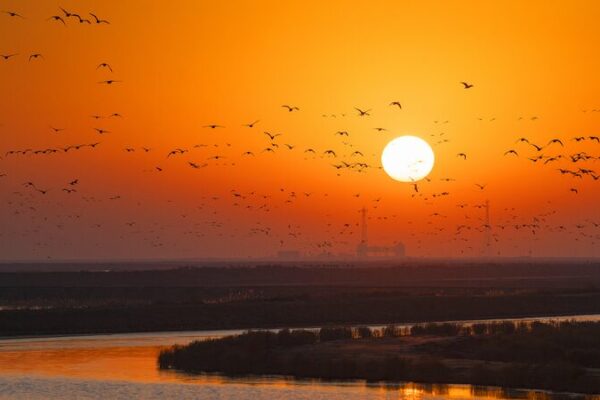 Migratory Birds Soar Over Melting Ice on the Yellow River Migratory birds glide over melting ice in Yellow River video poster