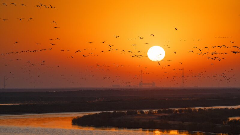 # - My News! Migratory Birds Glide over Melting Ice in Yellow River Video Poster