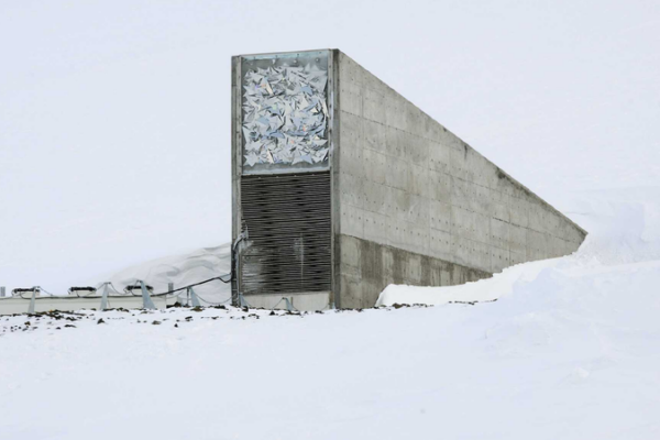 New seeds deposited in Norway's Svalbard Global Seed Vault