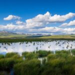 Our Wetlands Where the Arduous Long March Was Witnessed Video Poster 