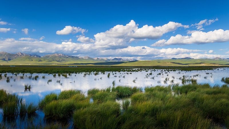 Our Wetlands Where the Arduous Long March Was Witnessed Video Poster 
