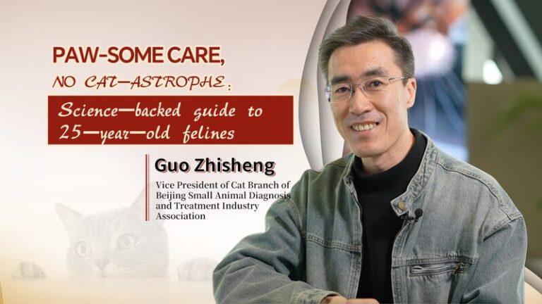 Paw some Care No Cat astrophe Guide to 25 year old Felines Video Poster