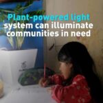 Plant powered Light System Can Illuminate Communities in Need Video Poster 