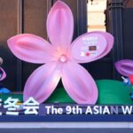 President Xi Jinping Meets Ioc President Bach in Harbin 