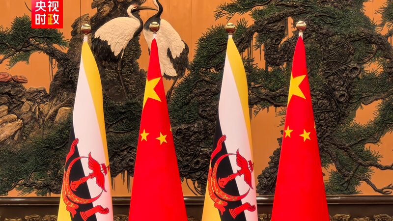 President Xi Holds Talks with Bruneis Sultan 