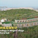 Restored Ecology in Ningxia Village Inspires Cultural Hub Video Poster 