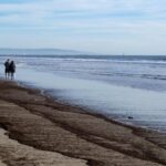 Scientists Race to Detect Ocean Damage Sparked by La Wildfires 