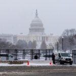 Tariffs Reign Prices Rise and Trade Sinks