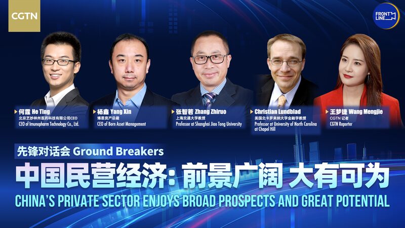 # - My News! Watch Chinas Private Sector Enjoys Broad Prospects Great Potential Video Poster
