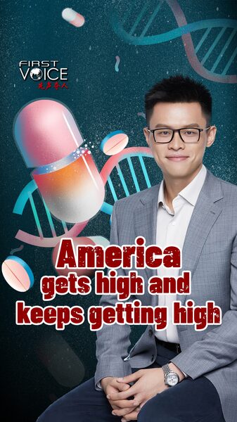 America Gets High and Keeps Getting High Video Poster 