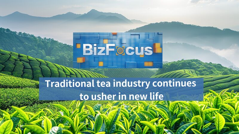 Bizfocus Ep122 Traditional Tea Industry Ushers in New Life Video Poster 