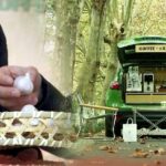 Cgtn the Vibe 20250311 