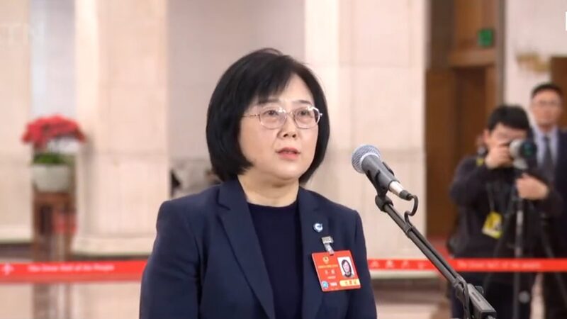 Cppcc Member Low altitude Economy to Become New Growth Engine Video Poster 