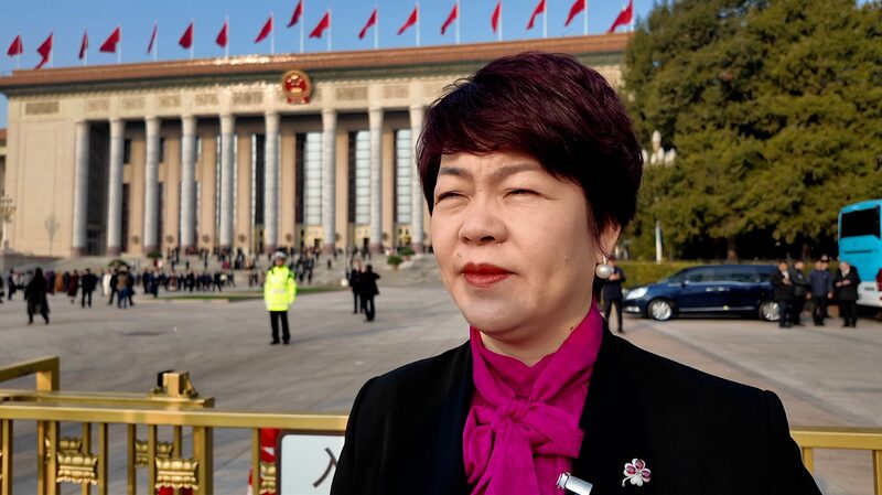 Cppcc Member Yu Ruifen Backs Ai Digitalization in Snack Industry Video Poster 