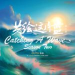 Catching a Wave 2 Video Poster 