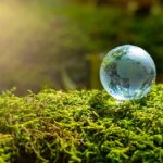 China France Issue Joint Statement on Climate Change 