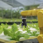 China Harnesses Ai to Revolutionize Smart Breeding Crop Development