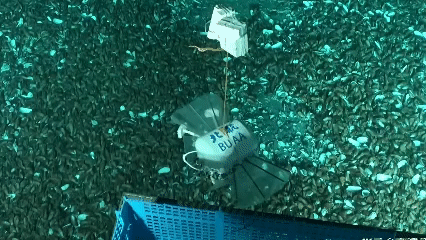 Chinas Deep sea Robot Conquers Worlds Deepest Trenches 