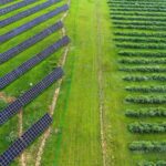 Chinas Green Development Contributes to Global Climate Action 