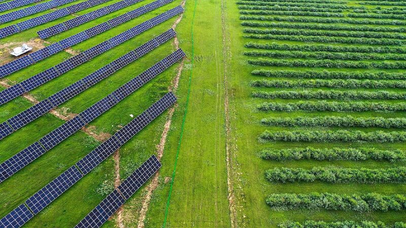 Chinas Green Development Contributes to Global Climate Action 