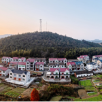 Chinas Path to Comprehensive Rural Revitalization 