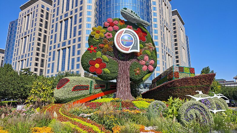 # - My News! Chinese Fm No Global Modernization Without African Modernization Video Poster