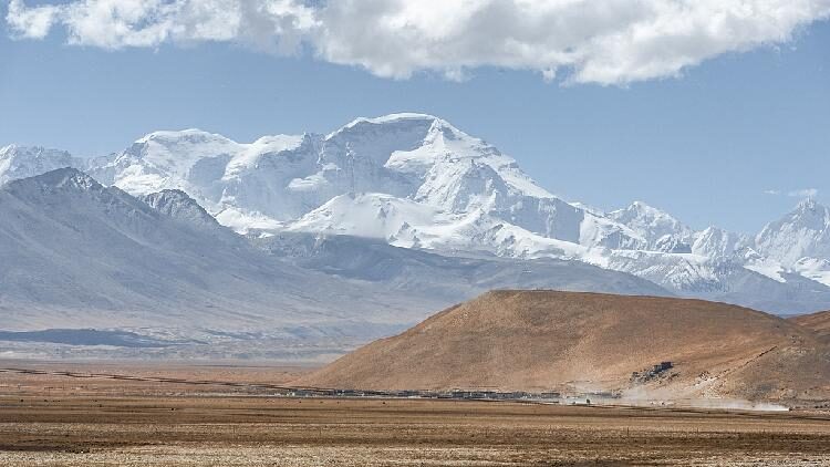 Chinese Researchers Find New Fungal Species on Qinghai xizang Plateau 