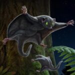 Dark Fur Helped Early Mammals Evade Predators Study 