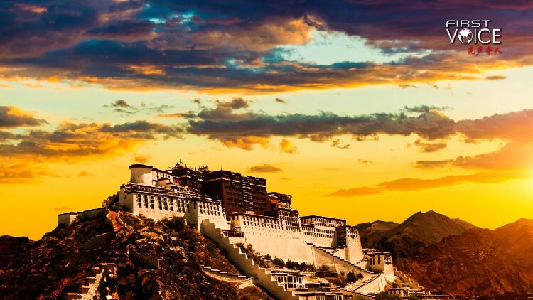 # - My News! Dark Reality of Old Xizang Serfdom Under Theocratic Rule part Ii