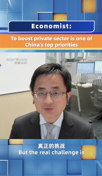 Economist Boosting Private Sector Among Chinas Top Priorities Video Poster 