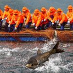 Fishermen Celebrate Bumper Catch in Zhejiang 