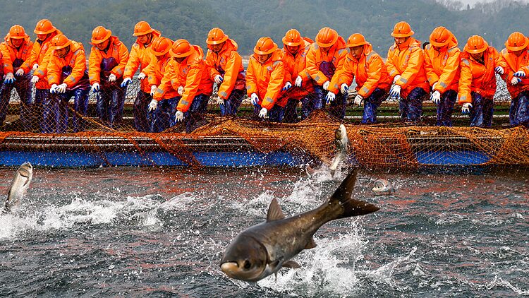 Fishermen Celebrate Bumper Catch in Zhejiang 