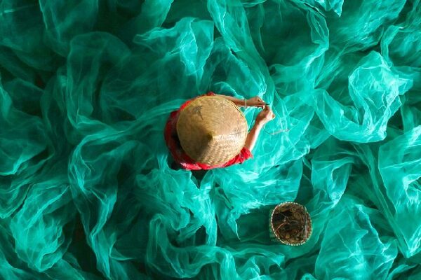 Fisherwoman mends nets in a sea of green