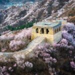 Floral Landscape at the Great Wall 