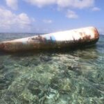 Food Delivery Fresh from the Western Media 