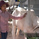 Going South | Srey Chanthas Novel Way out of Poverty Video Poster 