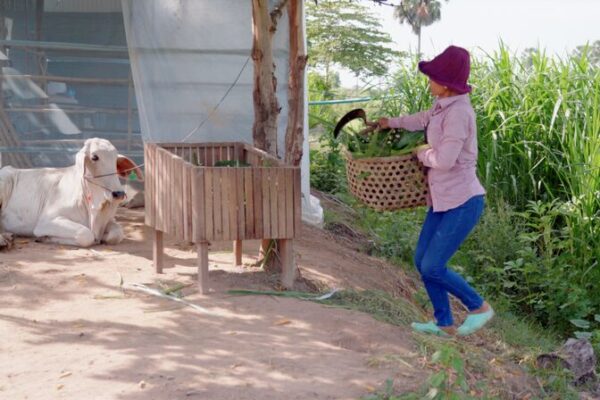 Going South | Srey Chanthas Novel Way out of Poverty Video Poster 