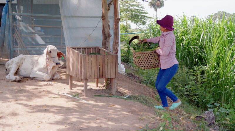 Going South | Srey Chanthas Novel Way out of Poverty Video Poster 