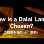 How is a Dalai Lama Chosen Video Poster 